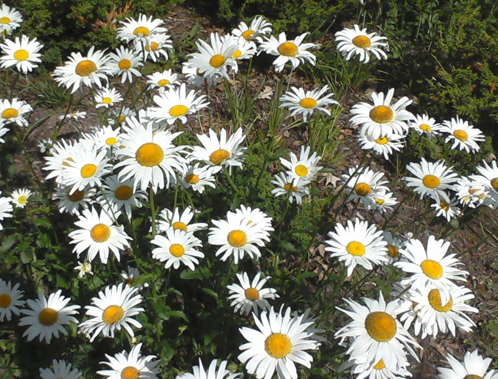 Imported from old computer 3005