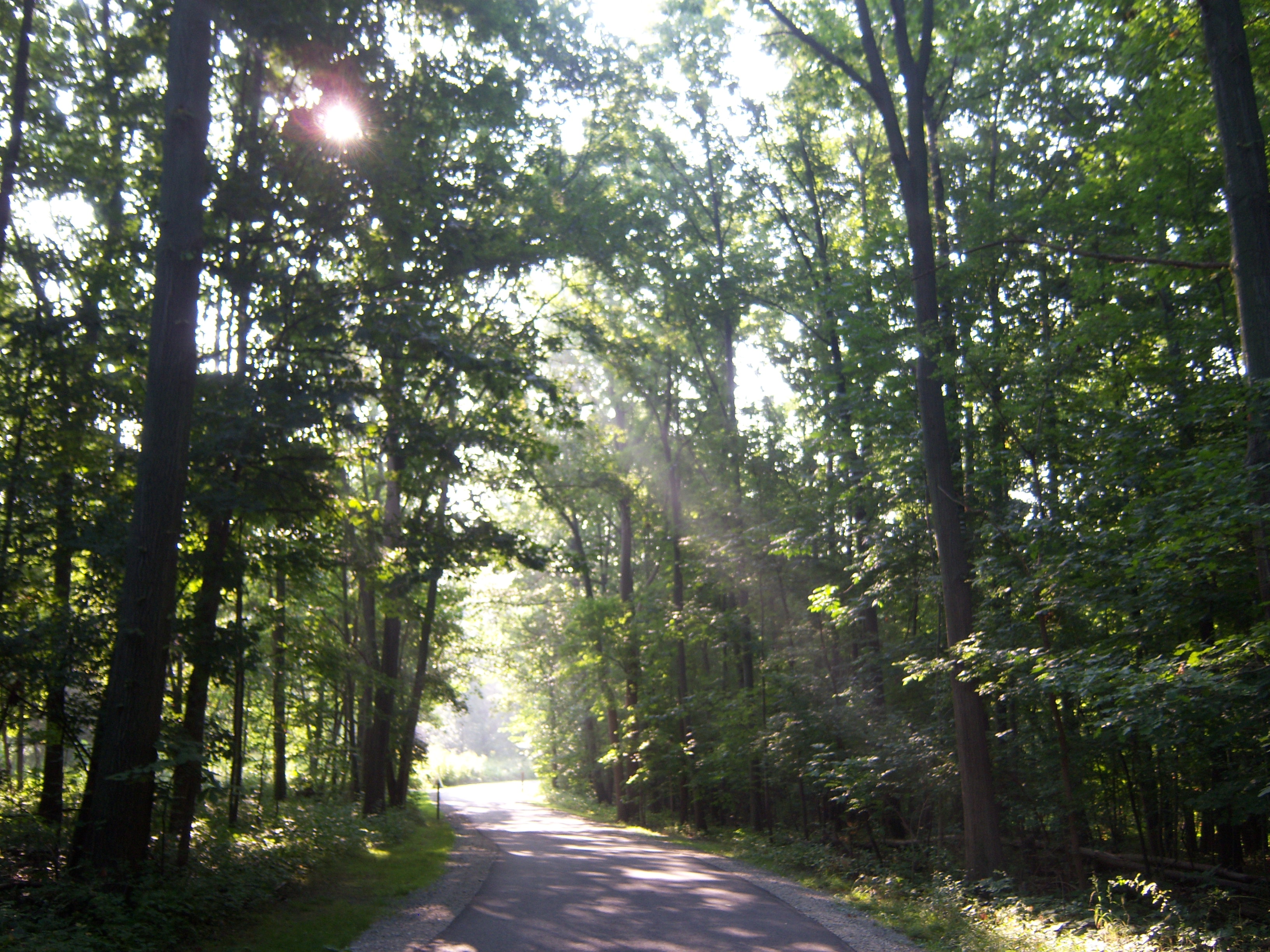 Imported from old computer 2802