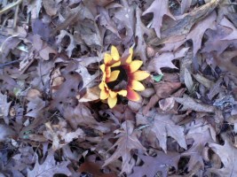 Imported from old computer 4198