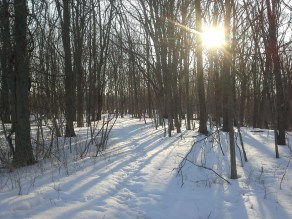 Imported from old computer 1331