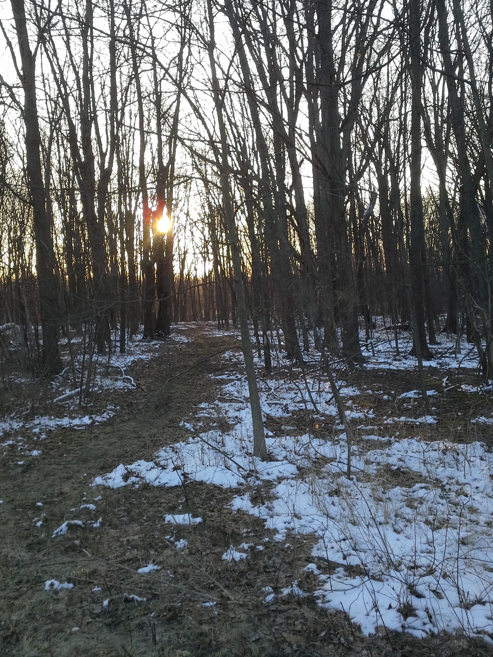 Imported from old computer 3070