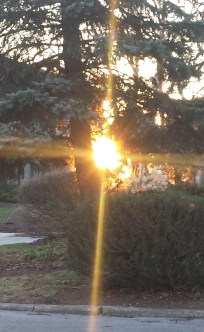 cell phone- all as of Sept 18, 2016 163