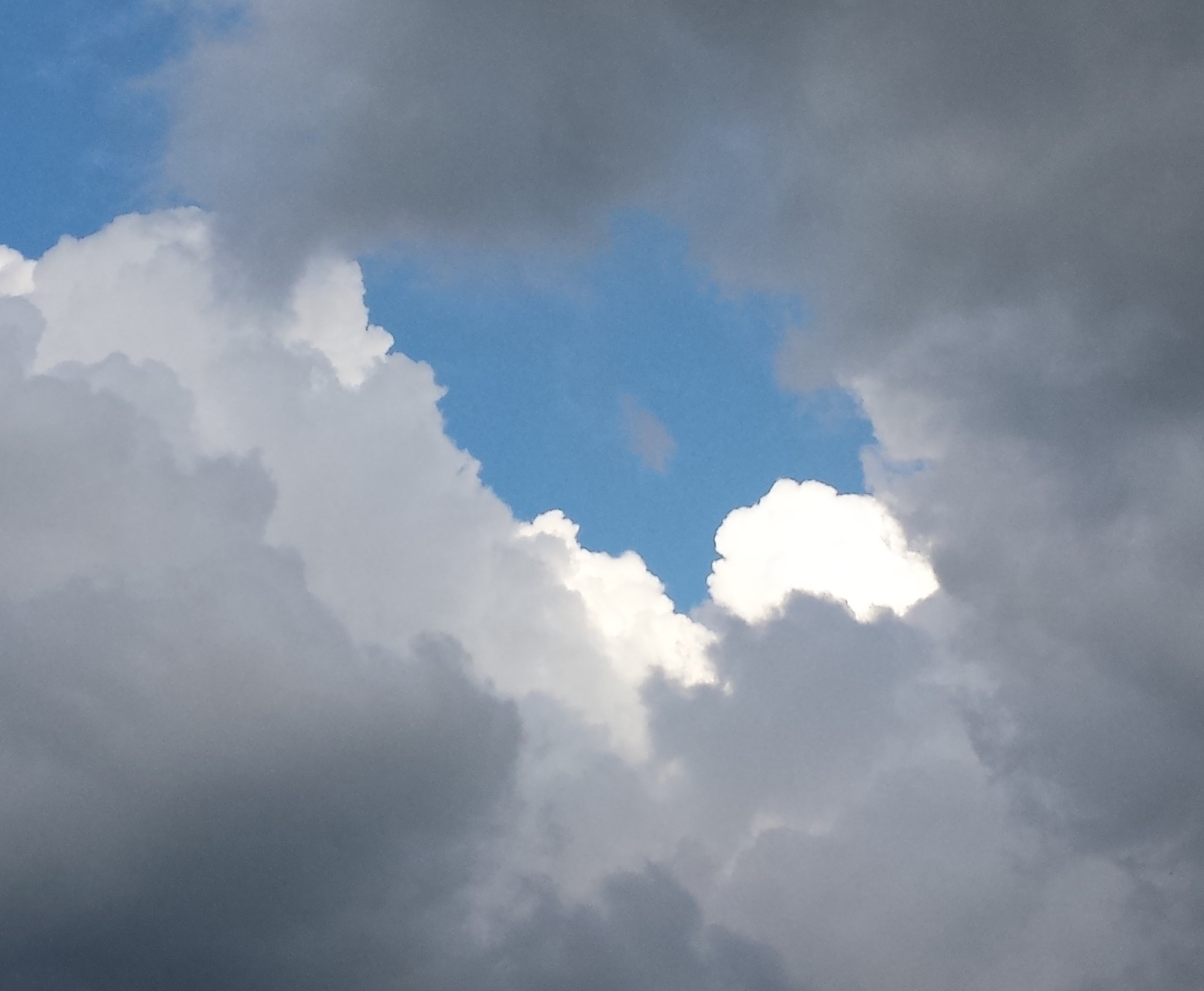 cell as of July 31 2017 010