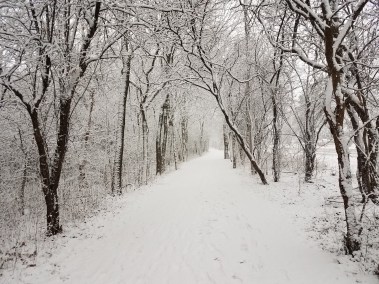 cell as of December 31, 2017 010