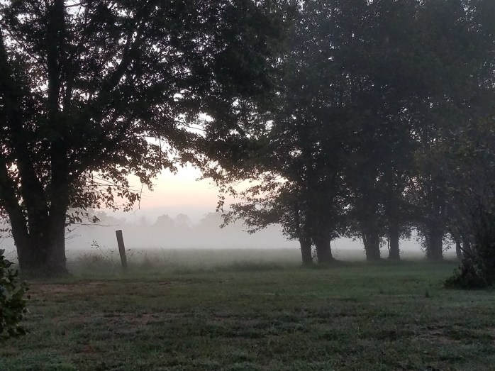 cell as of October 8 2018 113