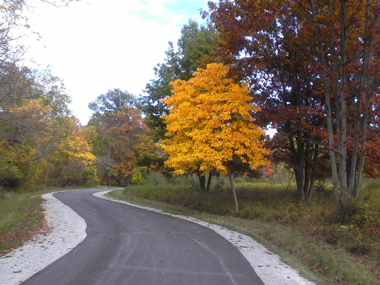 Imported from old computer 2772