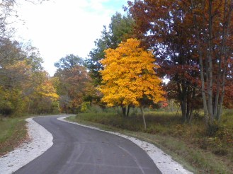 Imported from old computer 2772