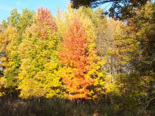 Imported from old computer 2817