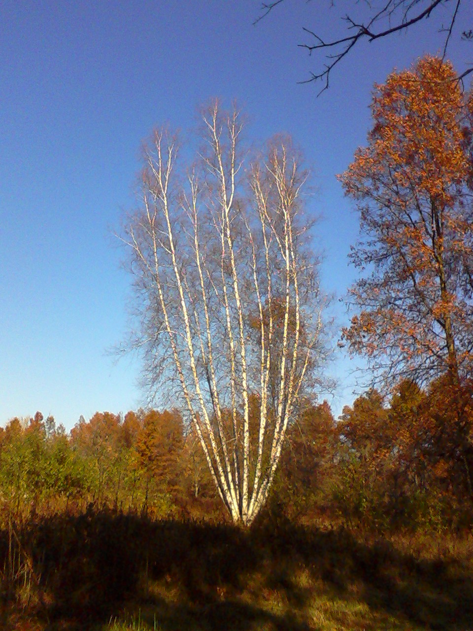 Imported from old computer 2883