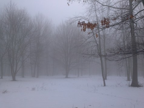 Imported from old computer 1347