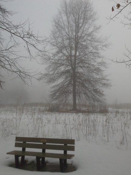 Imported from old computer 1352