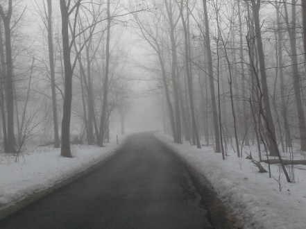 Imported from old computer 1355